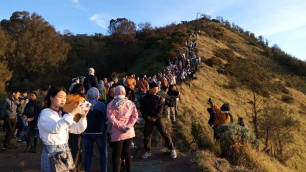 Bromo 1 Day Trip